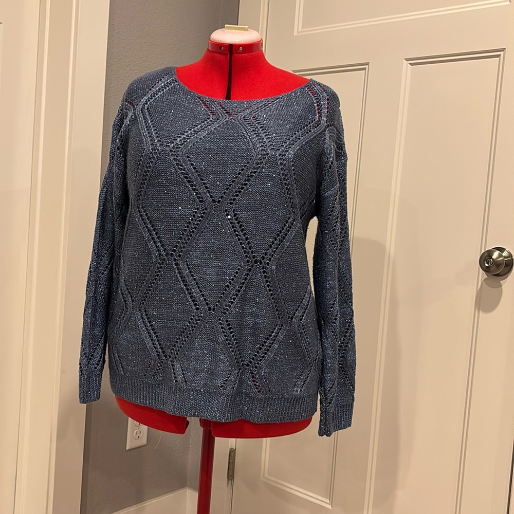 Sequin Sweater and Camisole New York and Company